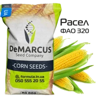 Насіння кукурудзи гібрид РАСЕЛ ФАО 320, Україна