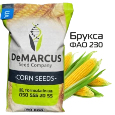 Насіння кукурудзи гібрид БРУКСА ФАО 250, Україна