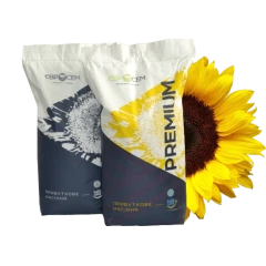 Насіння соняшника Аркона (NS VLSP) гранстар-оптимум