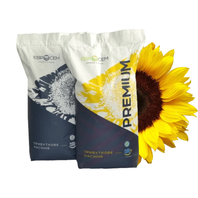 Насіння соняшника гібрид Пегас (NS 6341) Сербія фото