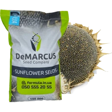 Насіння соняшника гібрид БРІАНА під євро-лайтнінг