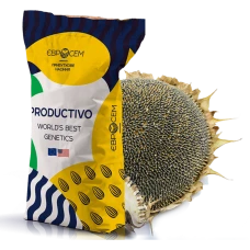 Насіння соняшника S - PRO 511 Євросейм