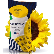 Насіння соняшника IS-Pro 521 Євросейм