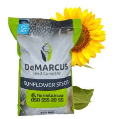 Насіння соняшника гібрид БАЛІ класичний