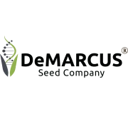 ✔️ Купити Demarcus в Формула Врожаю Насіння Кукурудзи